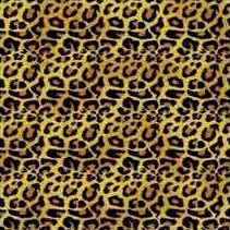 Leopard Print Bandanas