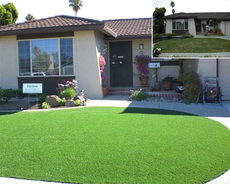 Artificial Grass