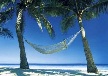 Hammock