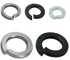 Duplex Steel Spring Washers