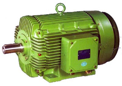 Electric Motor