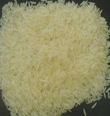 1121 Basmati Rice