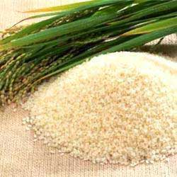 Sharbati rice, Shelf Life : 1 Year