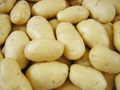 Potatoes, Usage/Application : Cooking, Baking, Frying, Boiling