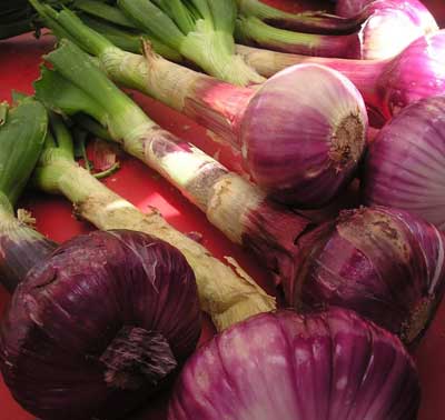 Red Onions