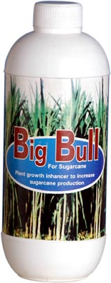 Big Bull (for Sugar Cane) Herbal Fungicide