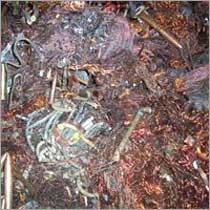 Copper scrap, Country of Origin : India