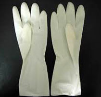 Medister Disposable Latex Gloves