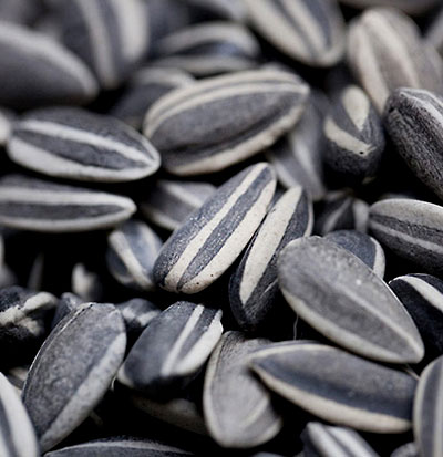 Sunflower seeds