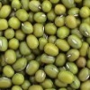 Mung Beans, Storage Instructions : Dry Place