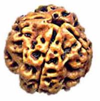 Nepal Bead (4 Mukhi)