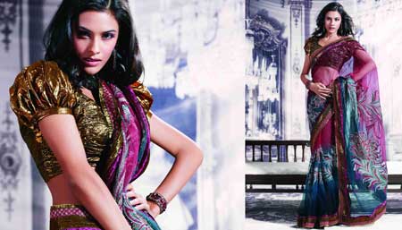 Designer Saree -12065