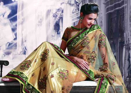 Designer Saree -12066