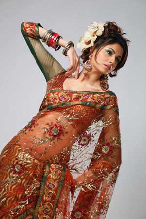 Designer Saree Item Code : 1049