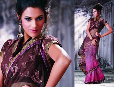 Designer Saree Item Code : 12072