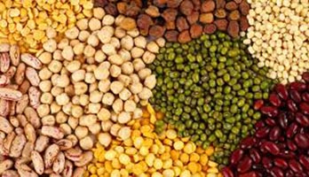 Organic Pulses, For Cooking, Specialities : Easy To Cook, Healthy To Eat, Highly Hygienic