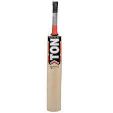 SS Ton Tennis Kashmir Willow Cricket Bat