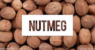 Nutmeg, Cultivation Type : Organic