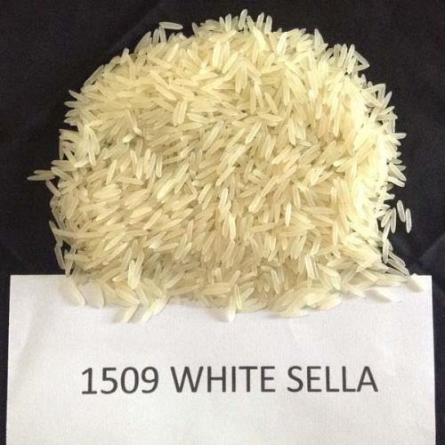 Hard Organic 1509 White Sella Rice, For Cooking, Food, Human Consumption., Style : Parboiled