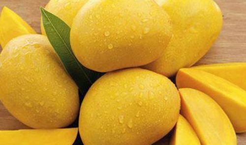 Organic Fresh Mango,fresh Mango, For Direct Consumption, Food Processing, Packaging Size : 10-20kg