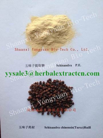 Schisandra Extract