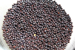 Mustard seeds, Purity : 99.9%