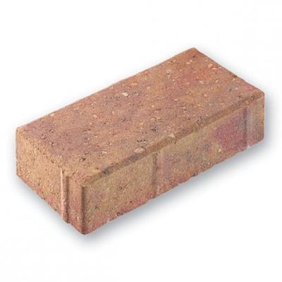 Fly Ash Bricks