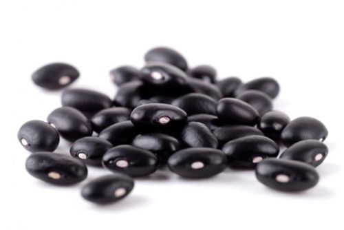 Black Beans, Packaging Type : Packed In Plastic Bags