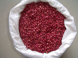 KASHMIR RAJMA SHARMILI