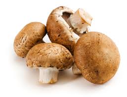 Fresh Crimini Mushroom