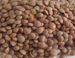 Whole Lentil