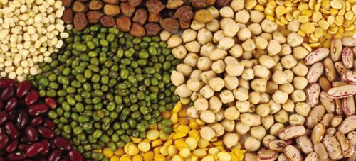 Organic Pulses