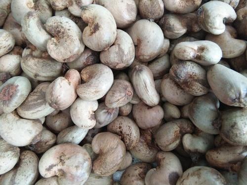 Blanched cashew nuts, Shape : Curve, Certification : ISO9001-2008