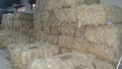 Sisal Fiber, Thickness : 0-25micron, 25-50micron, 50-100micron