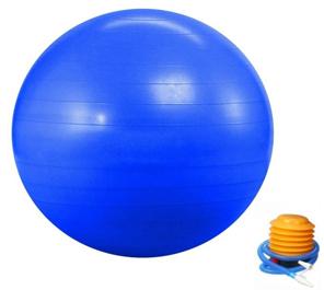 65 Gym Ball