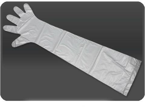 Disposable Glove