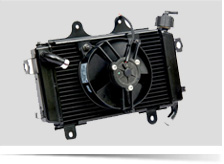 Radiator Fan Modules