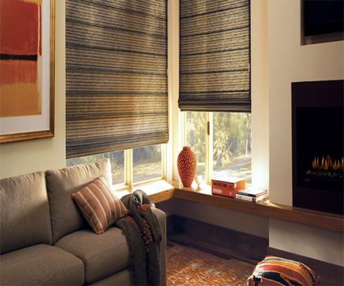 Motorized Window Blinds