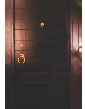 Flush Doors, Width : 18.5 - 28 inch