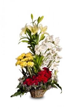 25 Mix Seasonal Flower Cane Basket