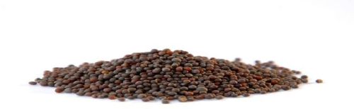 Mustard seeds, Moisture : 12%