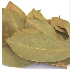 Bay Leaves