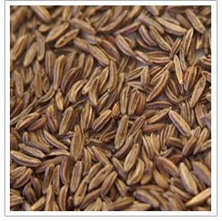 Organic Caraway Seeds For Spices, Cooking