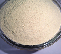 Cassia Tora Gum Powder