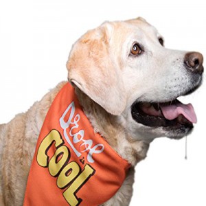 Dog HUFT Drool Bandana