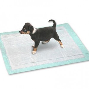 Karlie 48 Cm Puppy Potty Training Pads