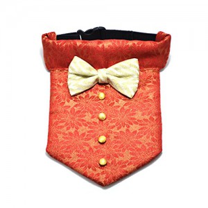 The Sherwani Dog Bandana L