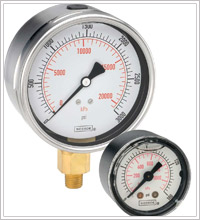 Pressure Gauges