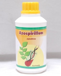 Azospirillum Biofertilizer