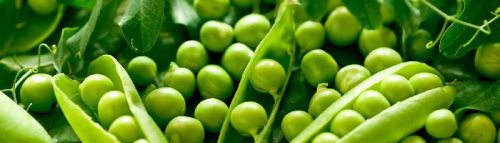 Green Peas